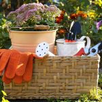 Grow a Garden Item Guide 9 Tools That Save Time and Sheckles