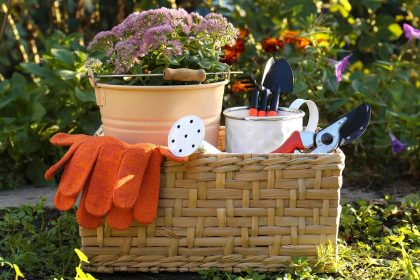 Grow a Garden Item Guide 9 Tools That Save Time and Sheckles
