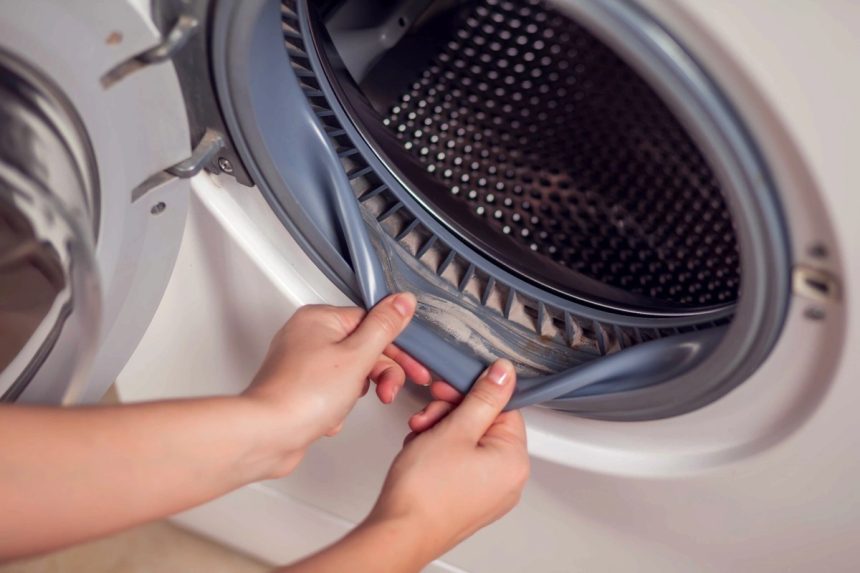 The Easiest Way to Clean and Sanitise Your Washing Machine
