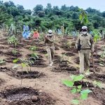 Volunteers planting young trees in a city park on a bright morning